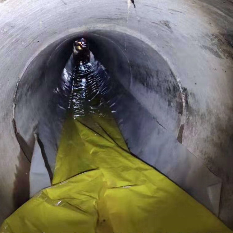 甘井子管道光固化修复